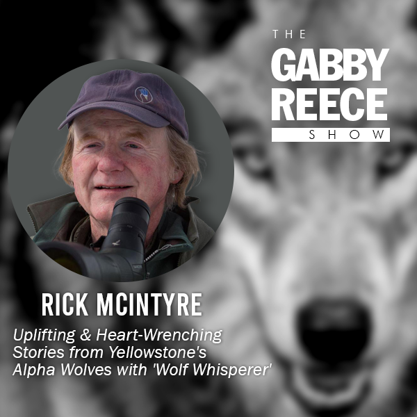 Uplifting & Heart-Wrenching Stories from Yellowstone’s Alpha Wolves with ‘Wolf Whisperer’ Rick McIntyre